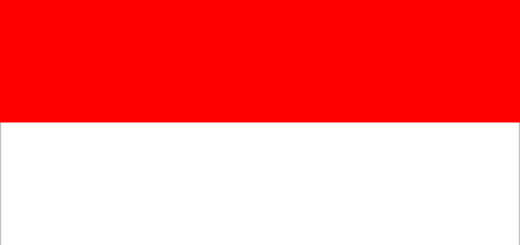 Endonezya